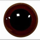 Ogen 10 mm bruin transparant (5 paar)