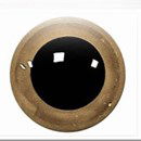 Ogen 15 mm bruin donker transparant