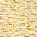 Drops Fiesta 25 lente ochtend - long print