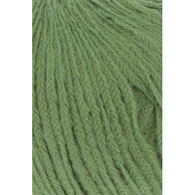 Lang Yarns Wooladdicts Bliss 1138.0017 Green