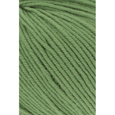 Lang Yarns Merino 120 34.0418 Fern