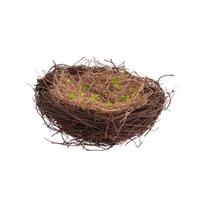 Vogelnest 15 cm 