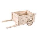 Kruiwagen 38 a 20 a 15 cm