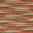 Scheepjes Catona Chroma 027 Autumn (50 gram)