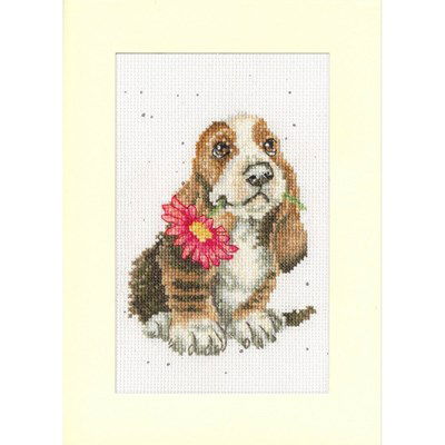 Borduurpakket dieren - Hannah Dale Especially for you
