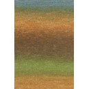Lang Yarns Wooladdicts Move 6ply 1146.0008 Orange/Olive/Brown/Blue