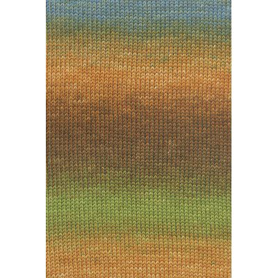 Lang Yarns Move 6-Fach/6-Ply 1146.0008 Orange/Olive/Brown/Blue