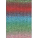 Lang Yarns Wooladdicts Move 6ply 1146.0010 Dark Green/Red/Blue/Rose