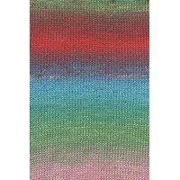 Lang Yarns Wooladdicts Move 6ply 1146.0010 Dark Green/Red/Blue/Rose