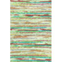 Lang Yarns Wooladdicts Move 8ply 1147.0008 Green/Pink/Turquoise