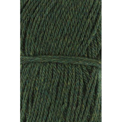 Lang Yarns Donegal Woolen Spun 1172.0017 Green