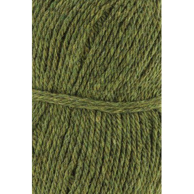 Lang Yarns Donegal Woolen Spun 1172.0097 Olive
