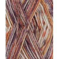 Phildar Phil Baby Socks Merinos Jaquard Marron
