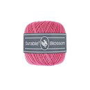 Durable Blossom 228 Raspberry