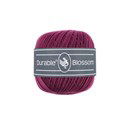 Durable Blossom 249 Plum