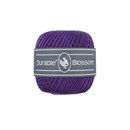 Durable Blossom 271 Violet