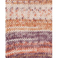 Phildar Phil Socks Merinos impr jacquard marron