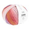 Lang Yarns Cloud 1077.0003 - multi color roze lila