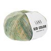 Lang Yarns Kid Color 1079.0008 groen mix