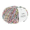 Lang Yarns Lyonel 1020.0054 Multicolour/Pastel