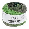 Lang Yarns Merino 120 Degrade 37.0002 groen
