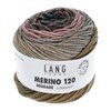 Lang Yarns Merino 120 Degrade 37.0006 bruin