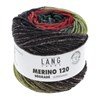 Lang Yarns Merino 120 dégradé 37.0011 Mint/Bordeaux/Blue
