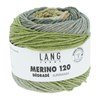 Lang Yarns Merino 120 dégradé 37.0014 Olive/Corn