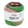 Lang Yarns Merino 150 dégradé 40.0012 Green/Bordeaux/Salmon