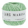 Lang Yarns Marisa color 7.0040 groen gemeleerd