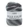 Lang Yarns Mille Colori socks and lace luxe 859.0003