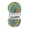 Lang Yarns Super Soxx Color 4-Fach 901.0358 Multicolour 1119 Lucerne