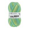 Lang Yarns Super Soxx Color 4-Fach 901.0361 Green/Mint 1119 Brienz