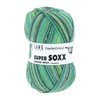 Lang Yarns Super Soxx Color 4-Fach 901.0381 Green 1123 Edinburgh