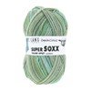 Lang Yarns Super Soxx Color 4-Fach 901.0384 Light Green 1123 Monaco