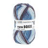 Lang Yarns Twin Soxx 909.0307 Waterfall