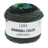 Lang Yarns Merino+ Color 926.0204 Black/Green/Blue