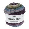 Lang Yarns Merino+ Color 926.0206 Lilac/Cor/Olive