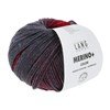Lang Yarns Merino+ Color 926.0207 Dark Red/Anthracite/Berry