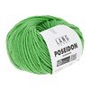 Lang Yarns Poseidon 1128.0016 Light Green