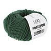 Lang Yarns Poseidon 1128.0018 Dark Green