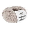 Lang Yarns Poseidon 1128.0026 Beige