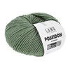 Lang Yarns Poseidon 1128.0091 Ivy