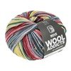Lang Yarns Wooladdicts Move 1126.0006 Anthracite/Red/Green/Yellow
