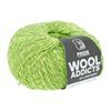 Lang Yarns Wooladdicts Pride 1090.0044 lime groen