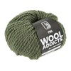 Lang Yarns Wooladdicts Fire 1000.0118 Spirulina