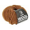 Lang Yarns Wooladdicts Glory 1061.0037 Umber