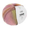 Lang Yarns Cloud 1077.0015 Rose/Orange/Lime