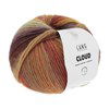 Lang Yarns Cloud 1077.0017 Brown/Red/Mint