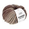 Lang Yarns Cashmere Light Color 1152.0006 Beige/Brown/Grey